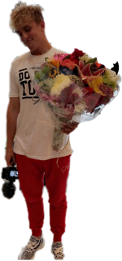 Jakepaul Jerika Flowers Freetoedit Wedding - Jerika (240x510), Png Download