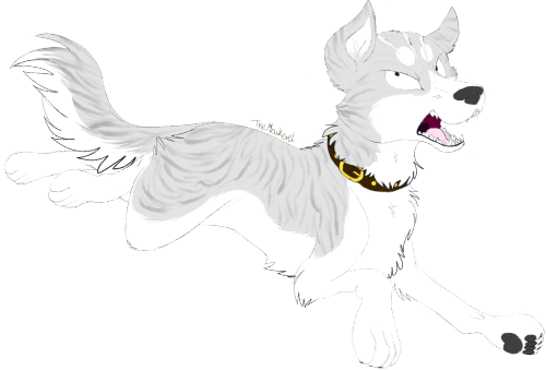 [the Shooting Star Gin Intensifies] - Dog Catches Something (500x339), Png Download