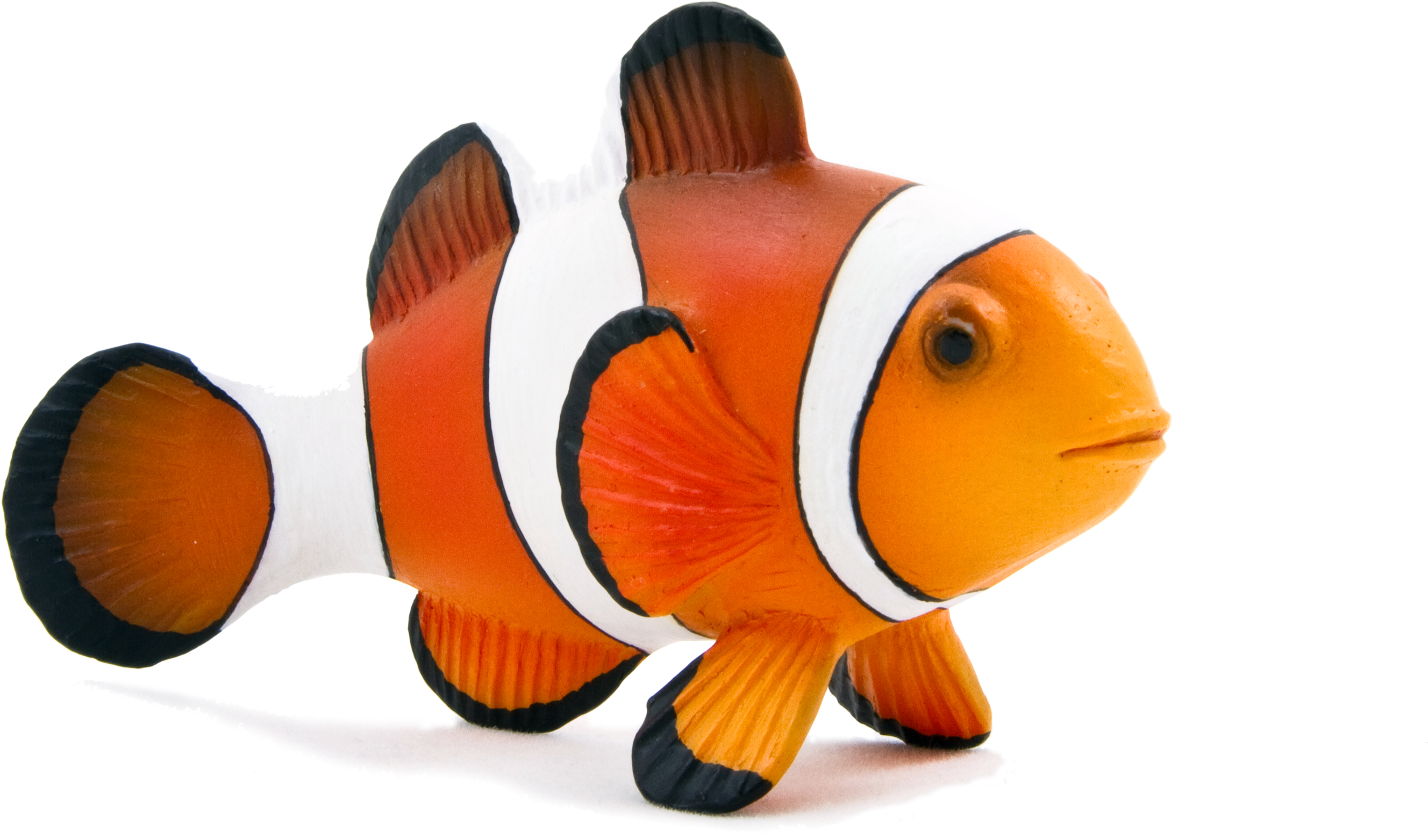 Clown Fish Png (3543x2572), Png Download