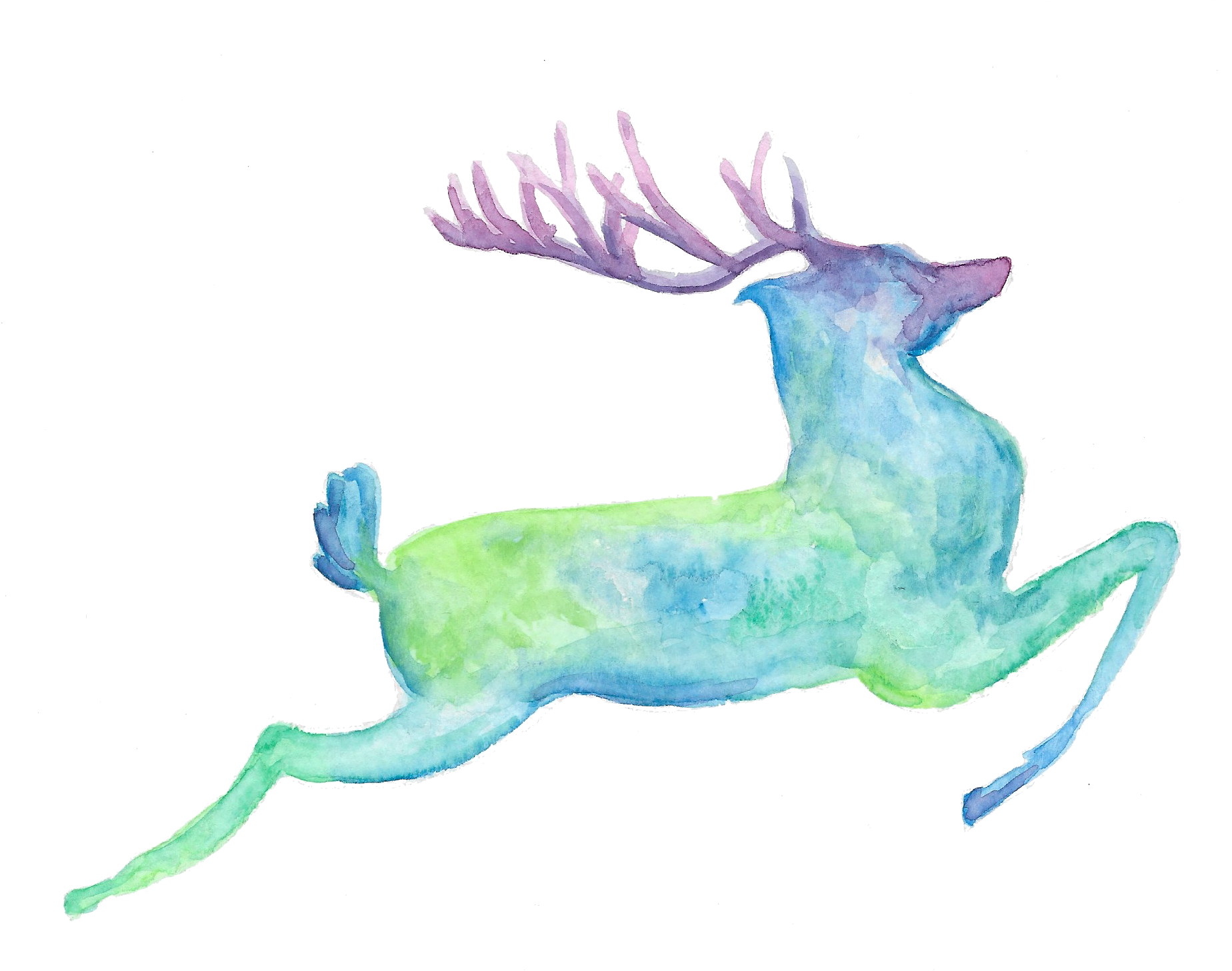 5″ X 7″ Watercolor - Illustration (1976x1466), Png Download