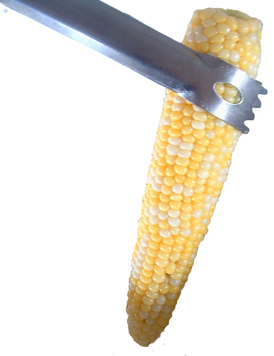 Corn - Corn Kernels (553x720), Png Download