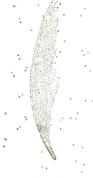 Carroll Phantasmagoria Donati Comet - Motif (310x600), Png Download