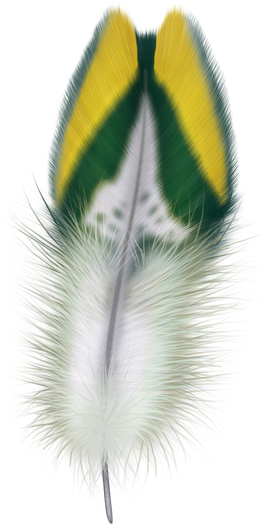 Feather Png - Truck Motorcycle Car Lorcoo Universal Motorcycles #00001 (300x528), Png Download