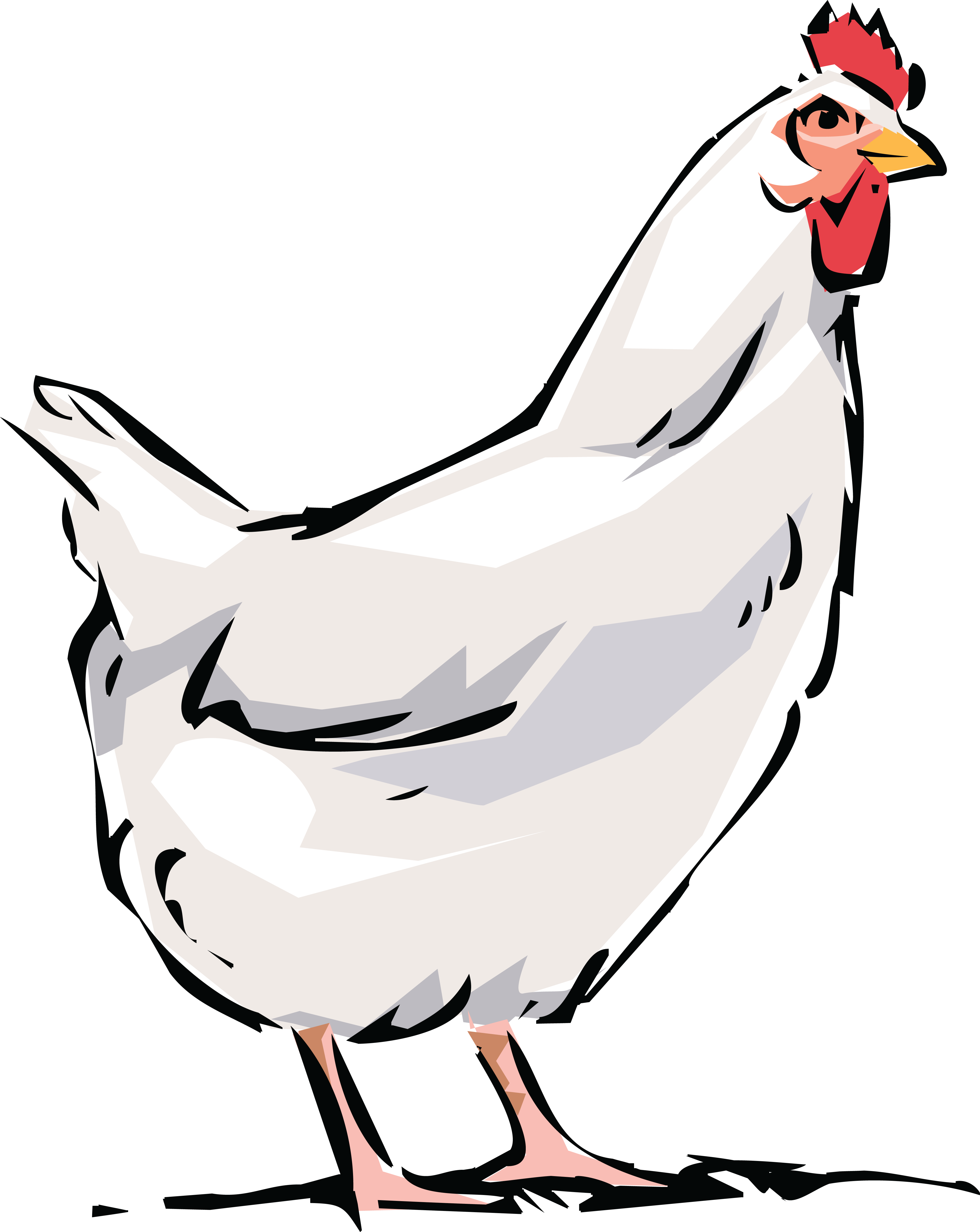 Download Dominique Broiler Bird Rooster Clip Art ... (4000 x 5030 Pixel)
