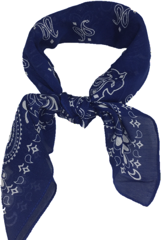 blue bandana neck