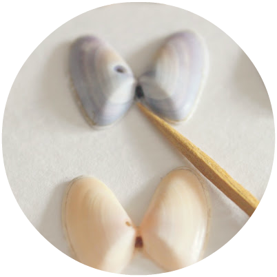 While Glue Is Still Hot Use A Toothpick To Lift Out - Wood (402x402), Png Download