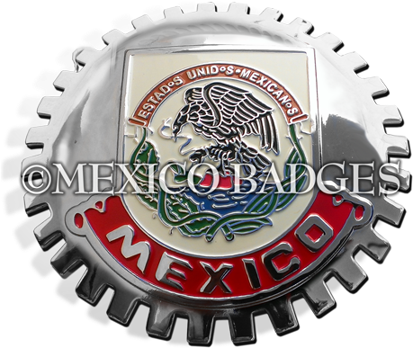 Mexico Flag Medallion Grill Badge - Irene Neuwirth Dog Necklace (500x460), Png Download