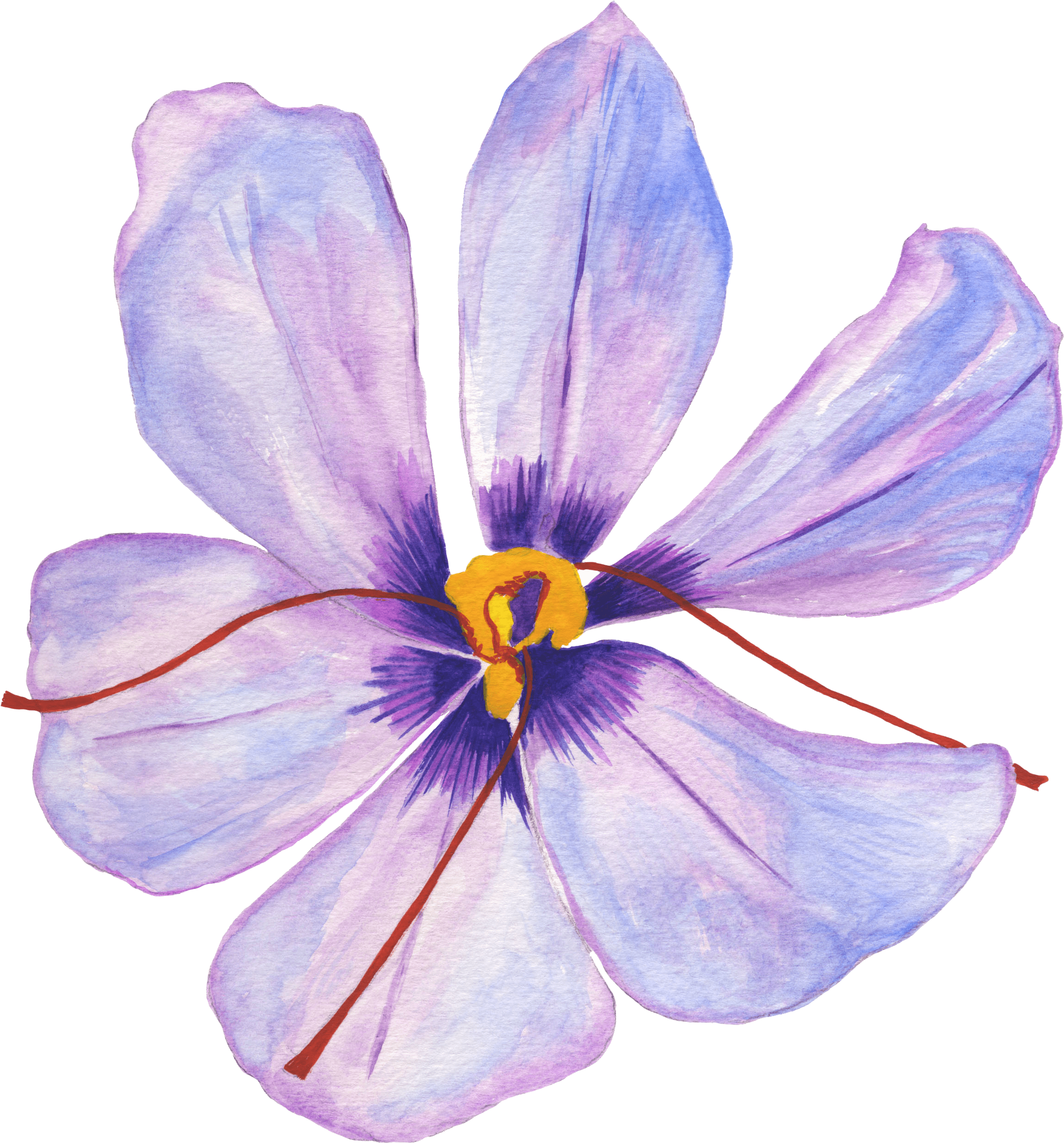Lilac Hibiscus (2453x2616), Png Download