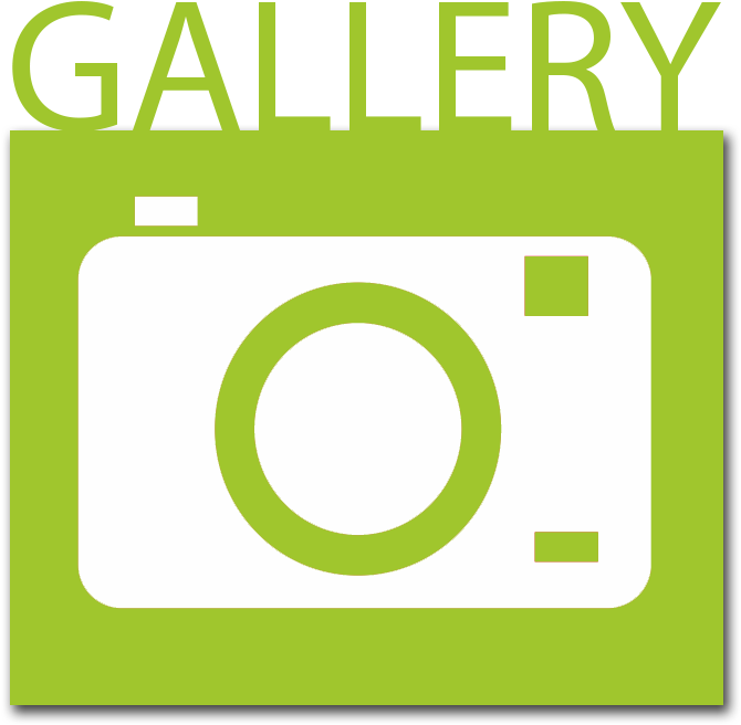 Gallery Button - Car (733x733), Png Download