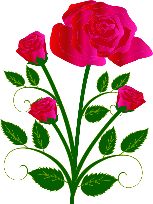 Rose Tree Clipart (601x800), Png Download