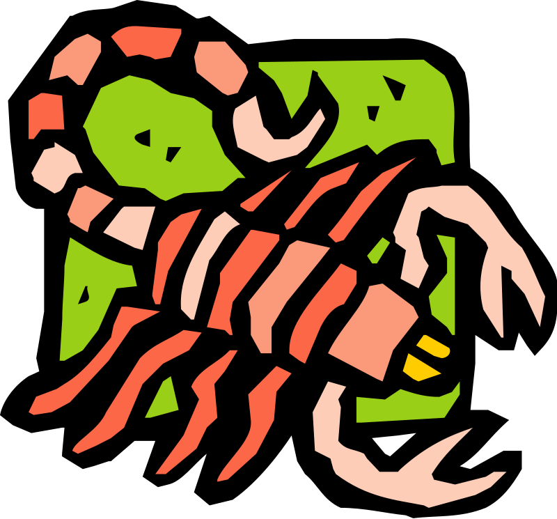Free Vector Insect - Best Gift Red Corpion Hoodie/t-shirt/mug Black/navy/pink/white (800x745), Png Download