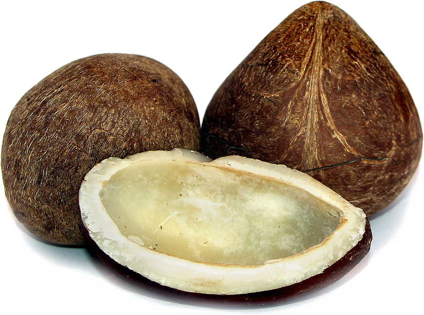 Half Coconut Png Photos - Dry Coconut Png (872x648), Png Download