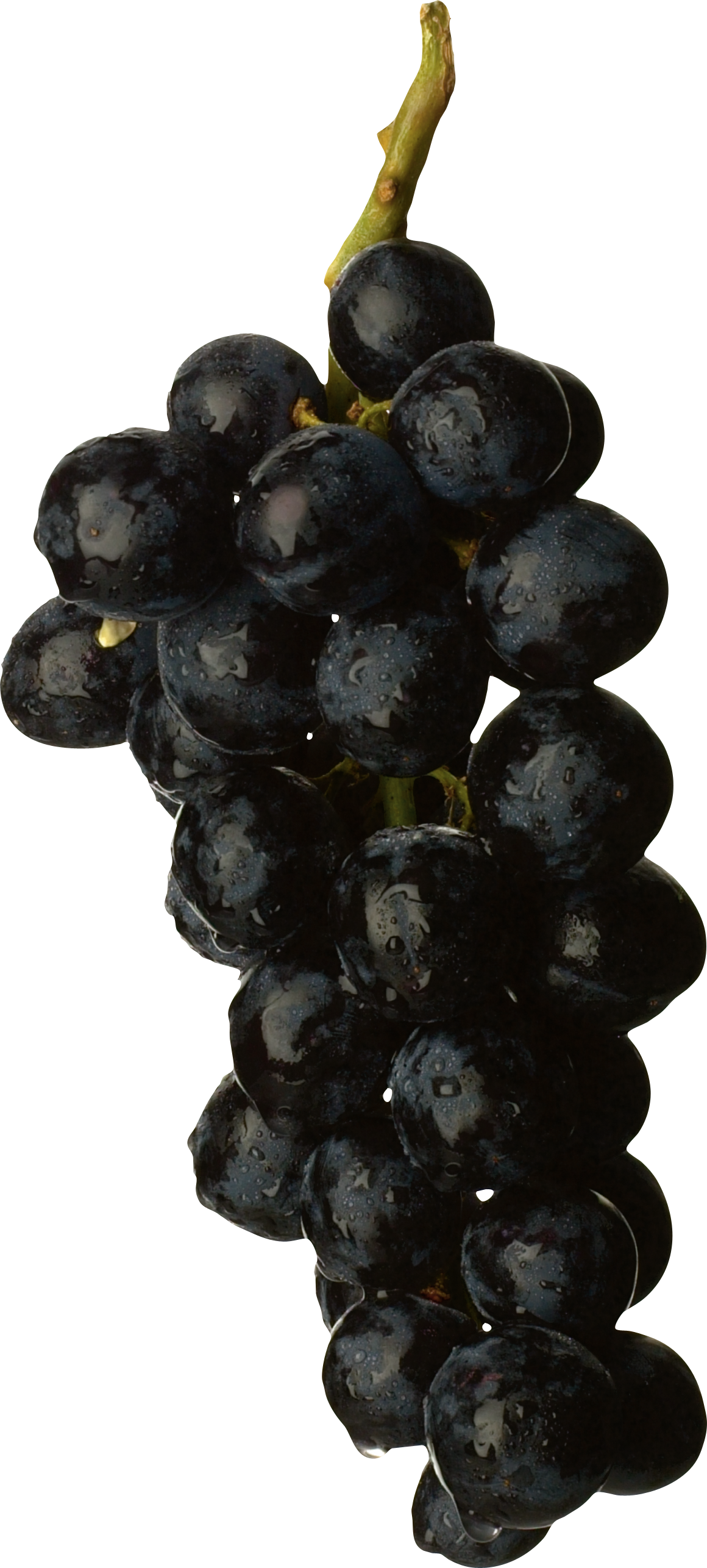 Black Grape Png Image - Black Grapes Fruit Png (1160x2571), Png Download