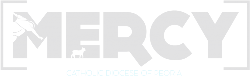 Catholic Diocese Of Peoria Divine Mercy Indulgences - Label (1024x318), Png Download