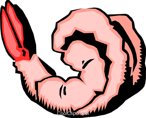 Shrimp Royalty Free Vector Clip Art Illustration Food0169 - Shrimp Clip Art (480x389), Png Download