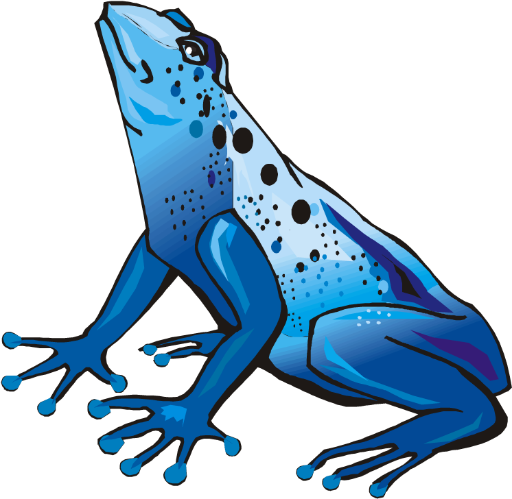 Frog Clipart Baseball - Poison Dart Frog Transparent (750x734), Png Download
