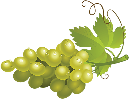 Green Grapes Png High-quality Image - Seedless Fruit (600x375), Png Download