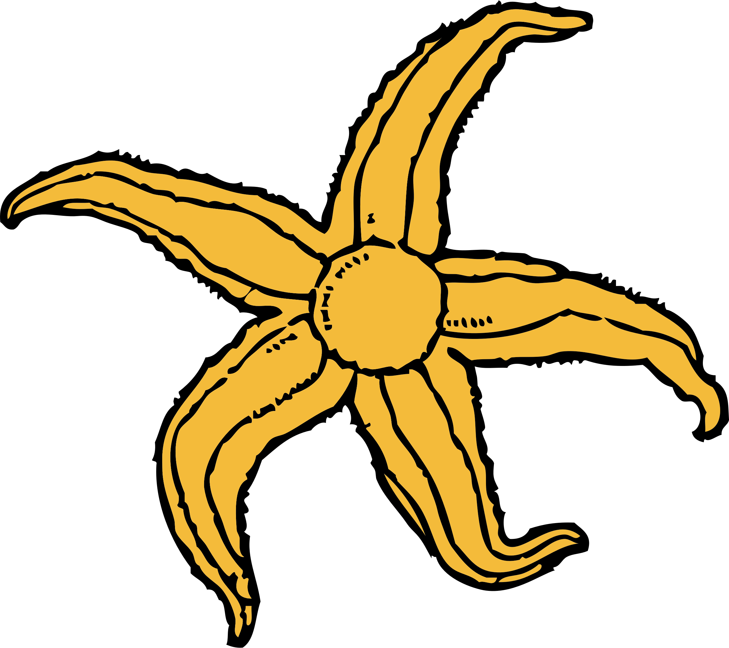 Starfish Png (2400x2132), Png Download