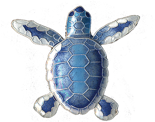 Flatback Pin (750x750), Png Download