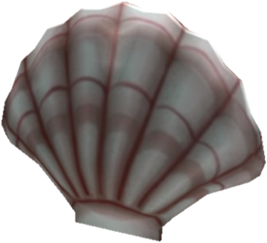 Giant Seashell - Seashell (480x480), Png Download