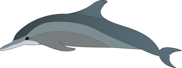 Dolphin Clip Art Png (600x226), Png Download