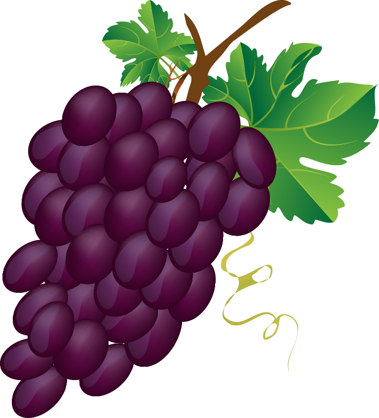 Grapes Vector Grape Bunch - Bunch Of Grapes Clipart (768x848), Png Download