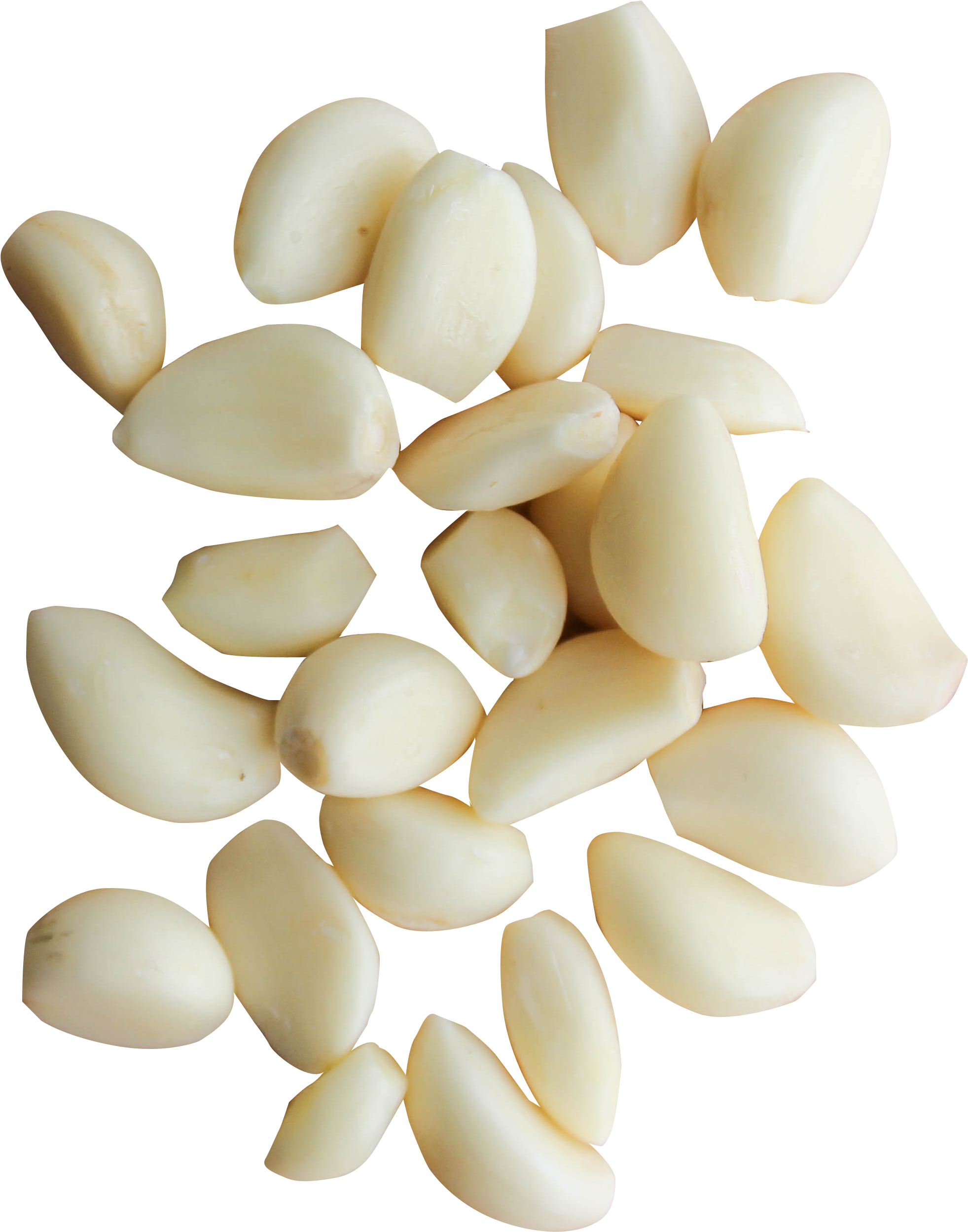 Peeled Garlic Cloves Png Image - Peeled Garlic Png (500x522), Png Download