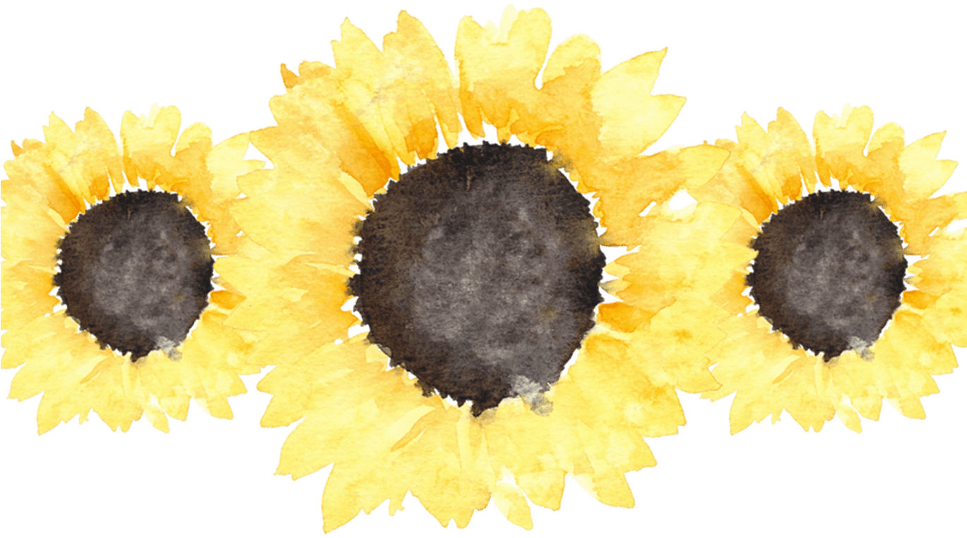 Sunflowers Transparent Tumblr For Free Download On - Book (1368x855), Png Download