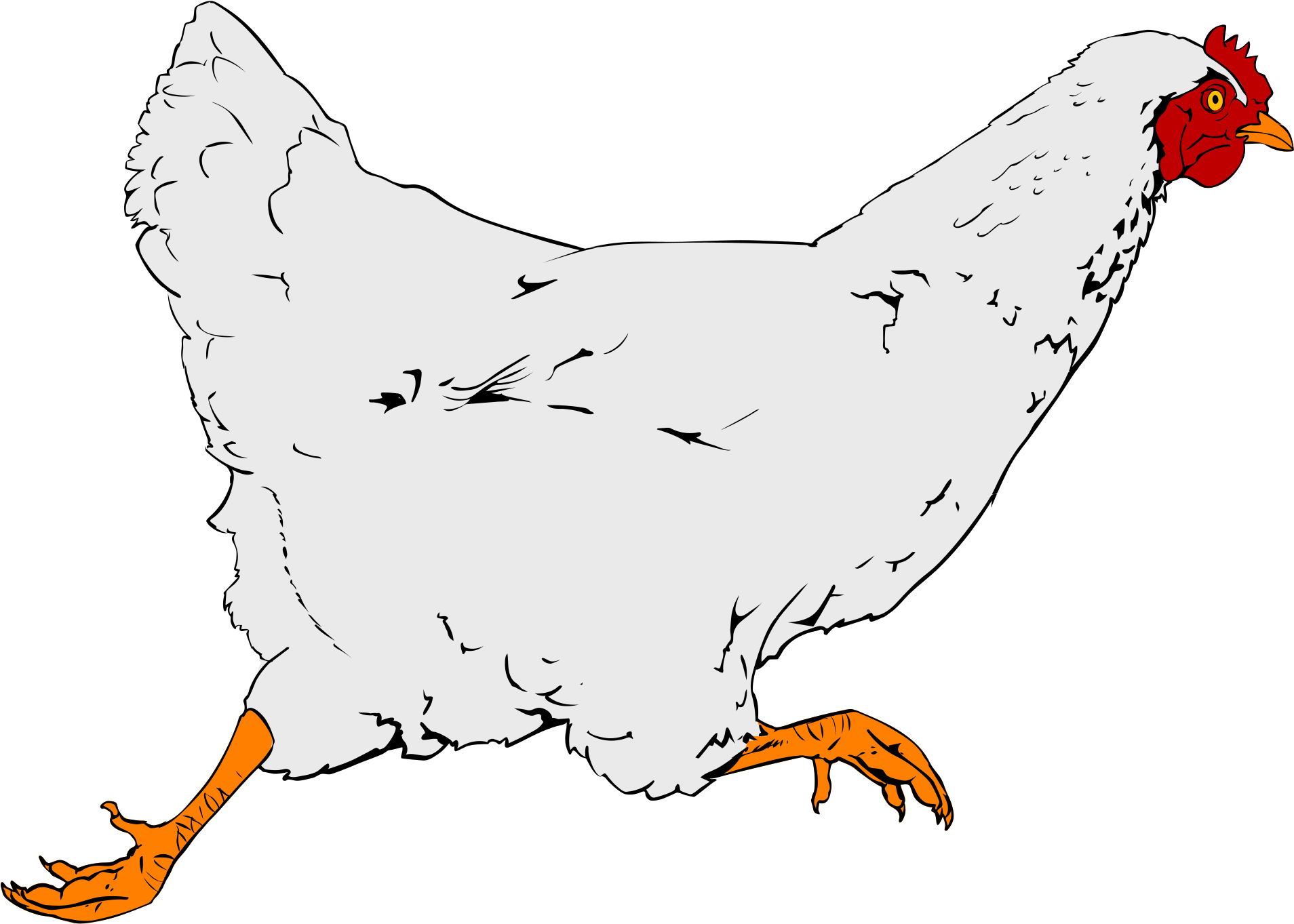 Clipart Png Chicken - Real Chicken Clipart (2000x1436), Png Download