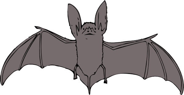Vector Clipart Bat - Bat Clipart (600x312), Png Download
