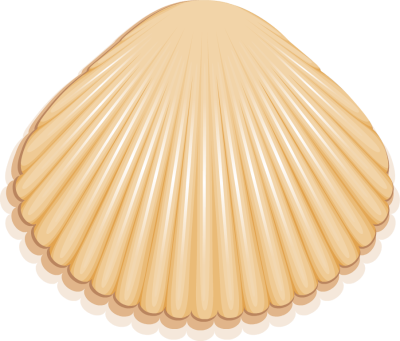 Purple Seashell Png Seashell Outline Clip Art Pictures - Fotor (400x341), Png Download