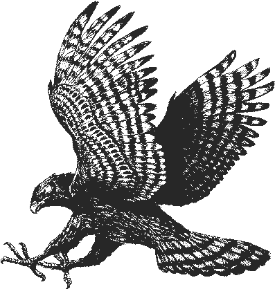 Hawk - Charlotte Latin School Hawk (407x432), Png Download