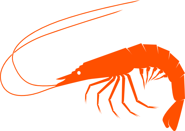 Clip Freeuse Library Orangeshrimp Clip Art At Clker - Shrimp Clipart Png (600x426), Png Download