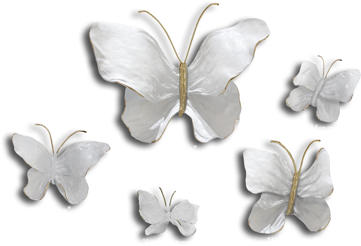 Ron & Sheila Ruiz Pearl Butterfly Exposures International - Butterfly (1300x944), Png Download