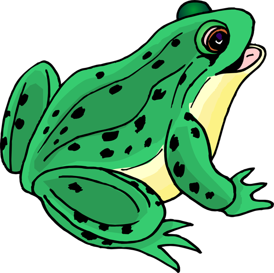 Frog Png Images Transparent Free Download - Clip Art Of Frog (564x563), Png Download