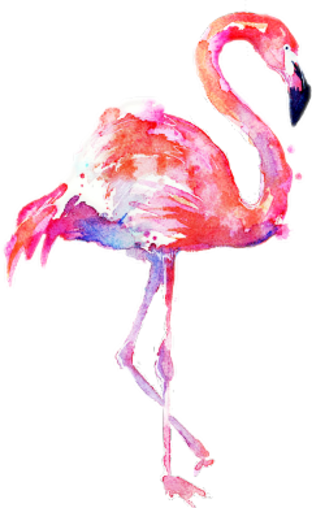 Flamingo Transparent Water Color - Transparent Background Flamingo Png (1024x1668), Png Download