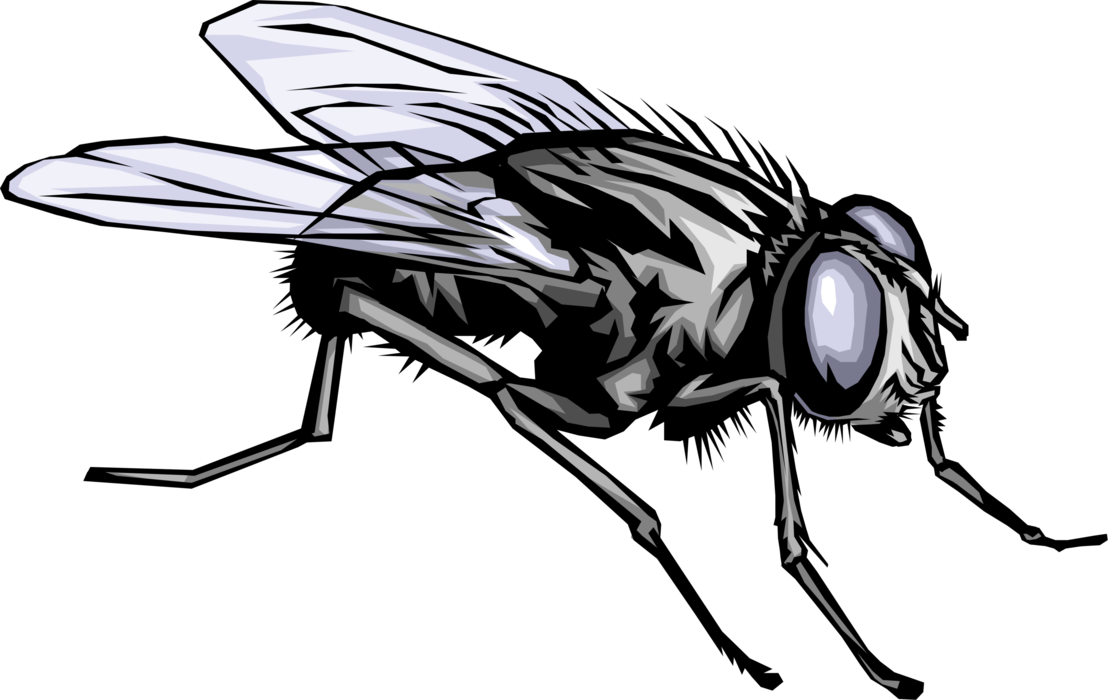 Vector Illustration Of Housefly Insect Fly Bug At Rest - Flies: A Novel [book] (1108x700), Png Download