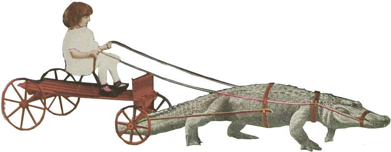 Cut Out Girl Riding An Alligator California Los Angeles - Nile Crocodile (811x515), Png Download