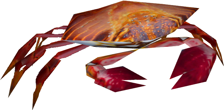 Sally Lightfoot Crab - Sally Lightfoot Crab Png (759x759), Png Download