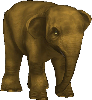 Borneo Pygmy Elephant , F2 (404x367), Png Download