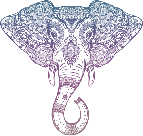 Tribal Elephant Head Outline (500x477), Png Download