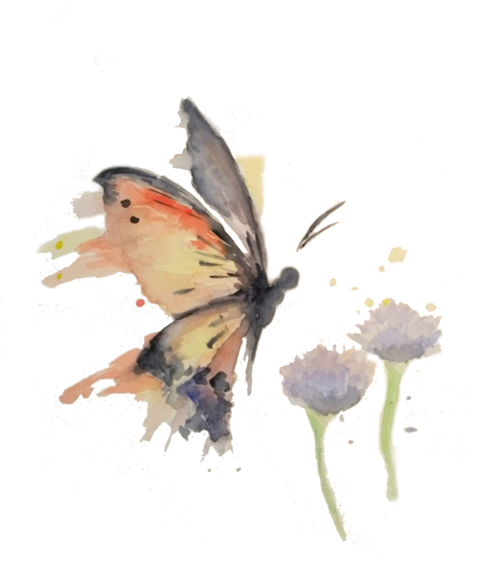 Butterfly Watercolor - Butterfly (1000x1333), Png Download