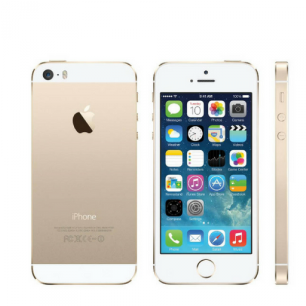 Apple Iphone Se 16gb Gold - Grand Teton National Park, Mount Moran (600x800), Png Download