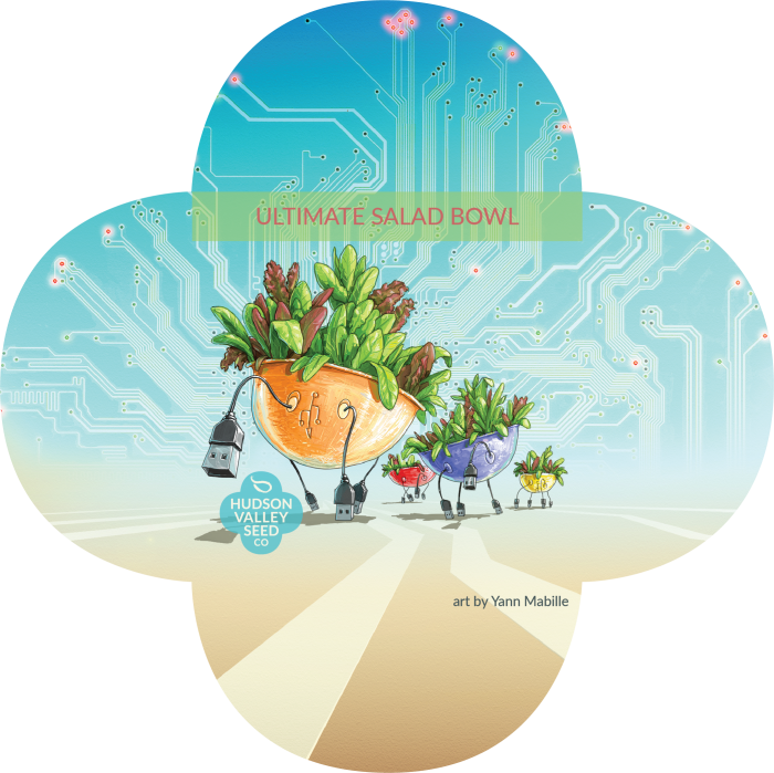 Ultimate Salad Bowl - Salad Bowl (700x699), Png Download