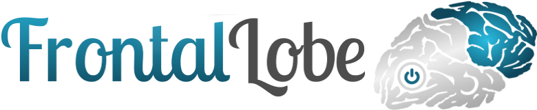 Frontal Lobe Coworking - Graphics (800x196), Png Download