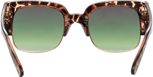 Back - Reflection (517x260), Png Download