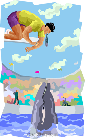 Whale Trainer On Diving Board Royalty Free Vector Clip - Cartoon (294x480), Png Download