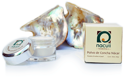 Polvo De Concha Nácar Para Eliminar El Paño - Seashell (560x480), Png Download