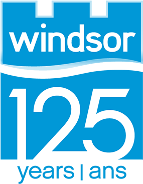 Windsor Salt - Windsor Salt Windsor Table Salt (455x367), Png Download