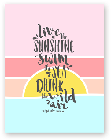 Graphic Design (498x498), Png Download